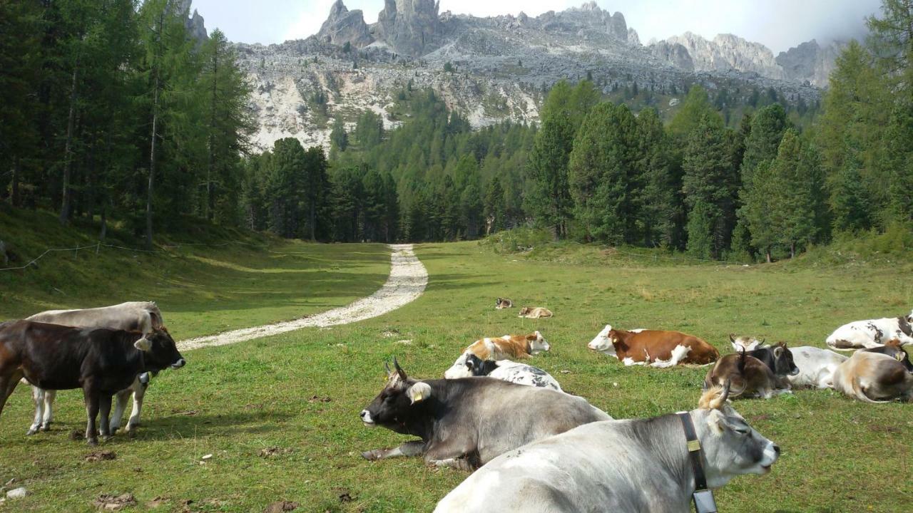 Appartement Casamau Trilo à Campitello di Fassa Extérieur photo
